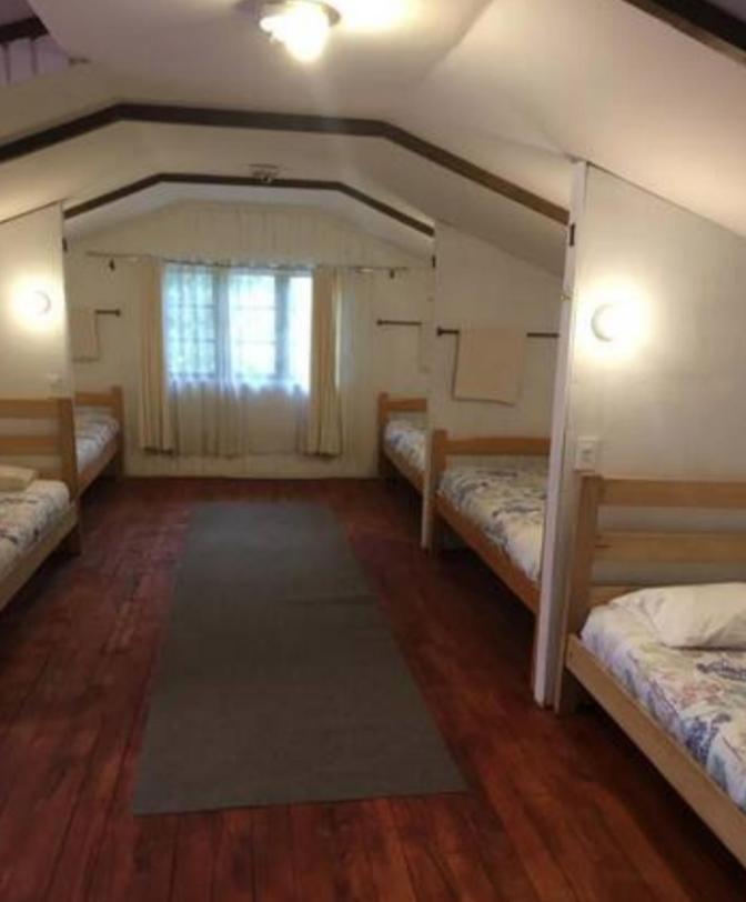 Alma Nativa Hostel Pucón Εξωτερικό φωτογραφία