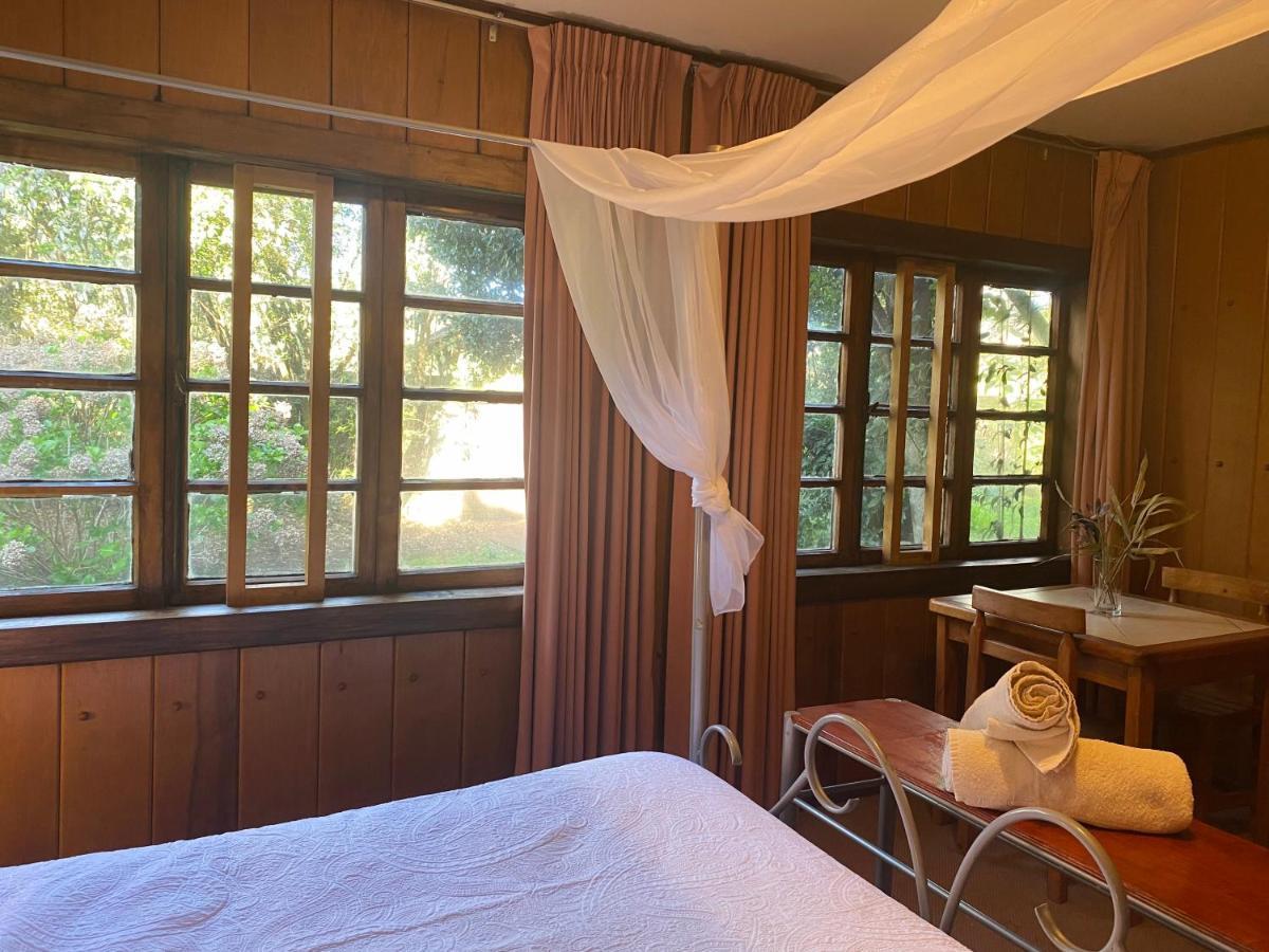 Alma Nativa Hostel Pucón Εξωτερικό φωτογραφία